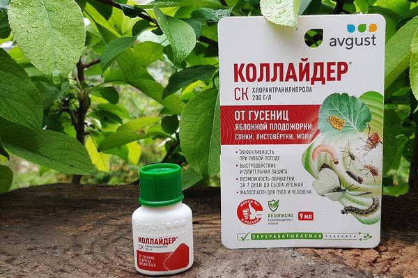 Препарат "Коллайдер" для защиты сада и огорода от гусениц и колорадского жука. Инструкция по применению